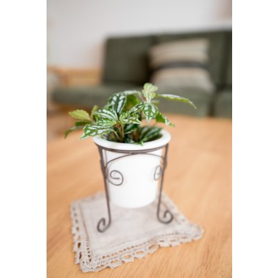 「なぜですか？」と聞かれると　思い　意見　悩み　たくさん話せる・・